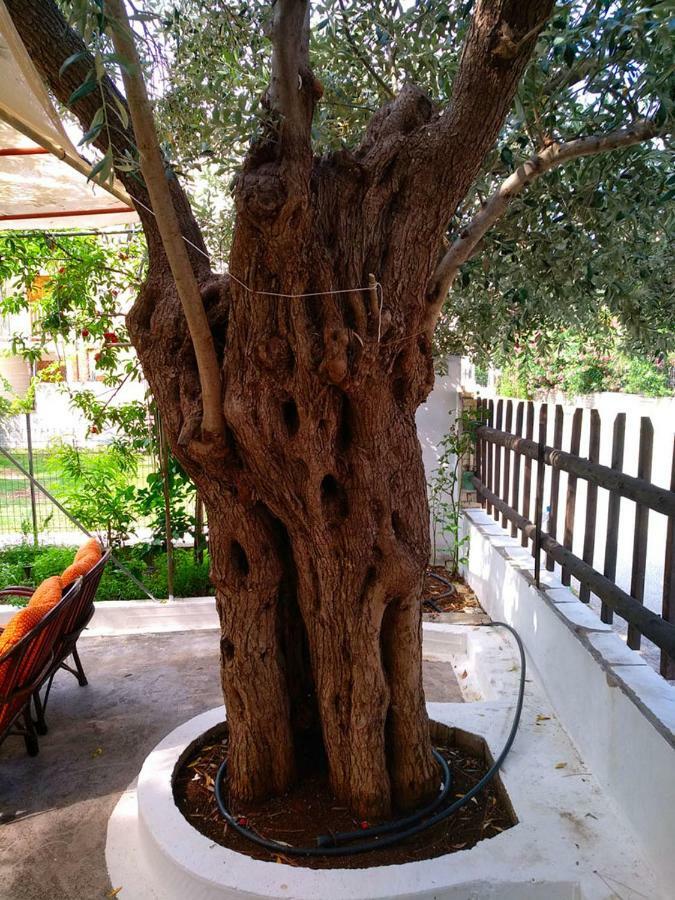 Our Parent'S House. Family House For Rent Villa Skala Kallirachis Exterior photo