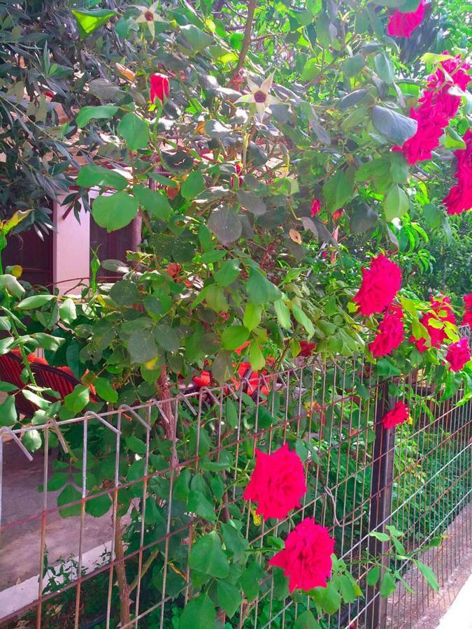 Our Parent'S House. Family House For Rent Villa Skala Kallirachis Exterior photo